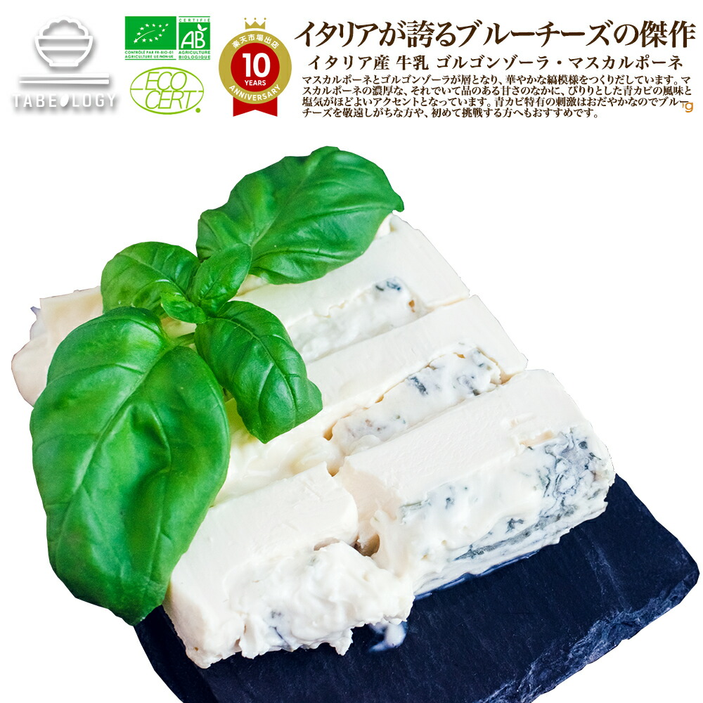 ヴィアザビオ社 オーガニックチーズ ゴルゴンゾーラとマスカルポーネ 1kg(タイプ