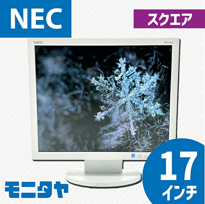 NEC-LCD-AS172M-W5
