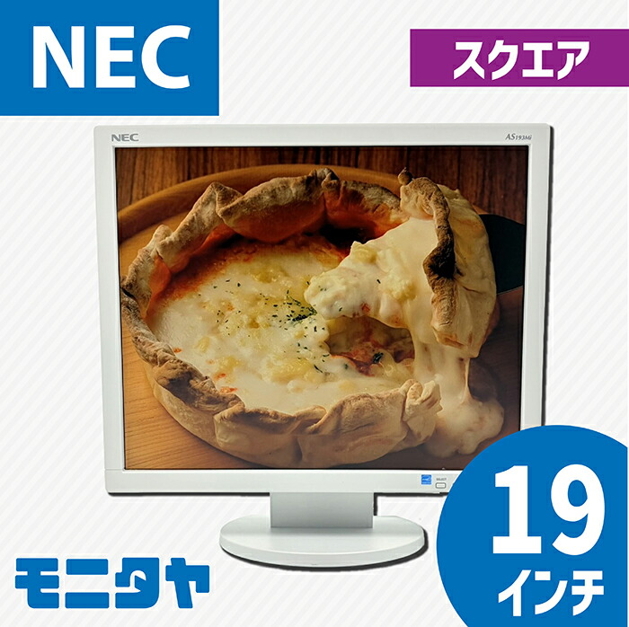 NEC-LCD-AS193MI-W5