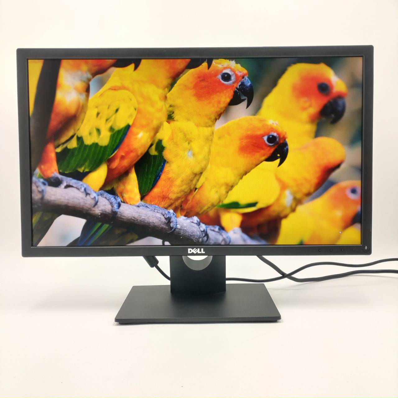 dell monitor e2416hb