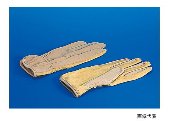 ラインドライヴグローブ L (10双入)