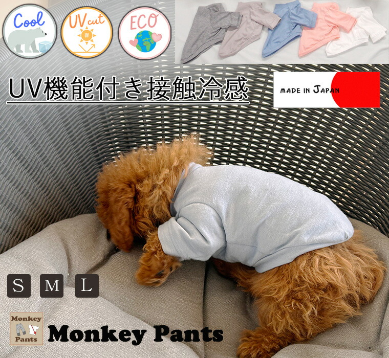 110-dog-3.jpg