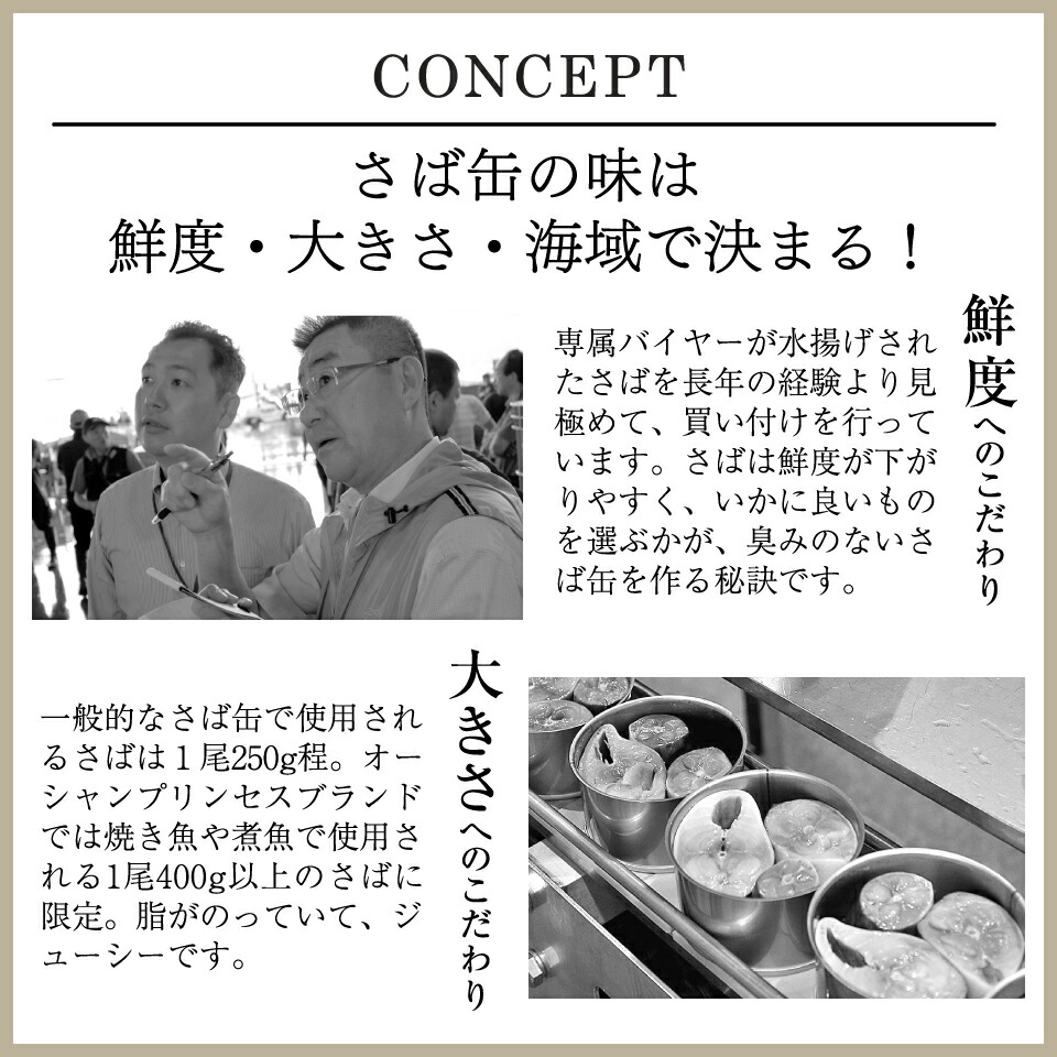 賜物 クォンティティ減す 大洋姫御前 血統 さばを使いした 贅沢さば缶2種子12缶セッティング Doorswindowsstairs Co Uk