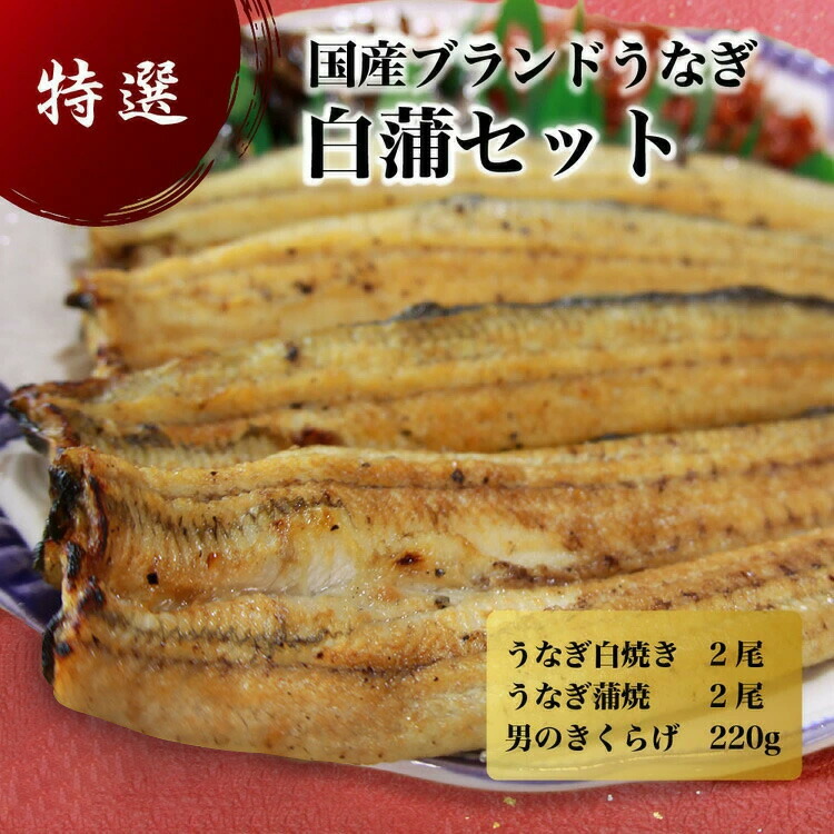 国産うなぎ白蒲セット4本　うなぎの白焼き（120g～130g×2尾）、うなぎの蒲焼き（120g～130g×2尾）、男のきくらげのセット｜国産のブランド鰻を職人が丁寧に焼き上げた蒲焼きと白焼き。土用の丑の日に！【WS】