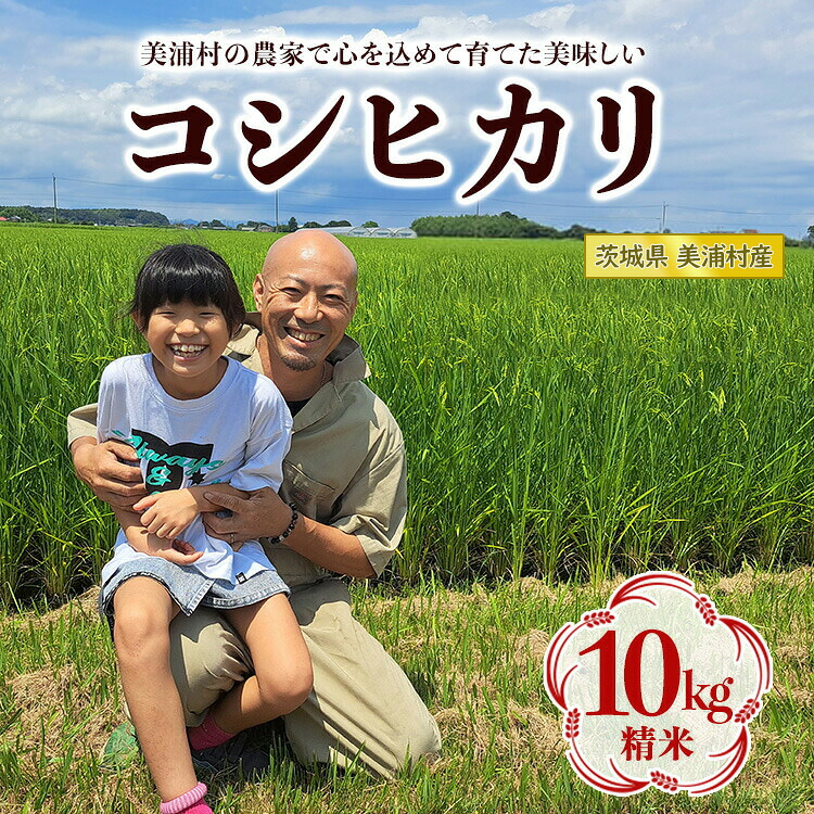 \クーポン利用で3,000円／【紀文公式】福袋セット(人気の12品詰め合わせ) 送料無料 2026 福袋 食べ比べ お試し 糖質0麺 糖質ゼロ ...