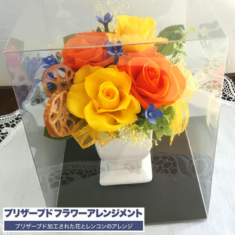 ビタミンカラー プリザーブドフラワー (レンコン)　花ギフト 誕生日 ギフト プレゼント お祝い 母の日 2026 父の日 お中元 御中元 春ギフト 【WS】