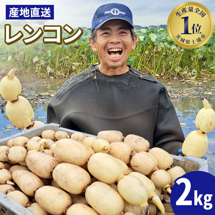 れんこんパパ OM レンコン(乱切) 500g | アミカ ネットショップ本店