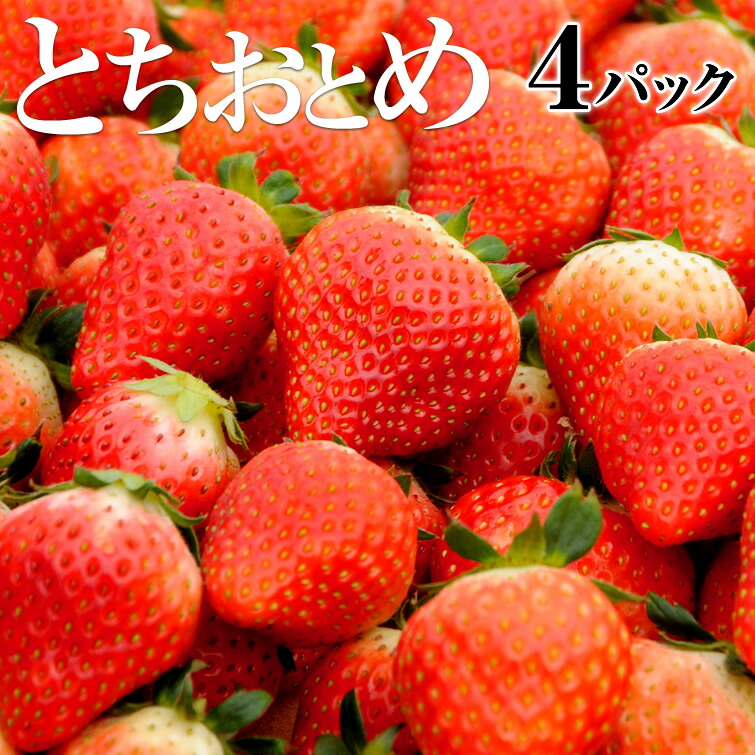 楽天市場 苺 いちご とちおとめ 1 2kg 300g 4パック 栃木県日光産 送料無料 イチゴ いちご イベント 景品 会社 職場 大量 法人 食べ物 プレゼント ギフト 出産 内祝い 退職祝い お礼 帰省土産 お土産 手土産 Gr 栃木のタウン誌厳選 もんみや通販