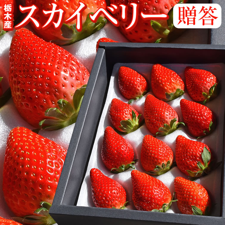 徳島県 さちのか 苺 超大玉 5L 贈答 プレゼント 化粧箱 高級 いちご 贈答用 イチゴ ギフト 内祝い 高級いちご 大粒 高級フルーツ お祝い  果物 旬 くだもの フルーツ ご褒美 家族 贅沢 贈り物 ひな祭り 初節句の評判・口コミ｜ベストオイシー