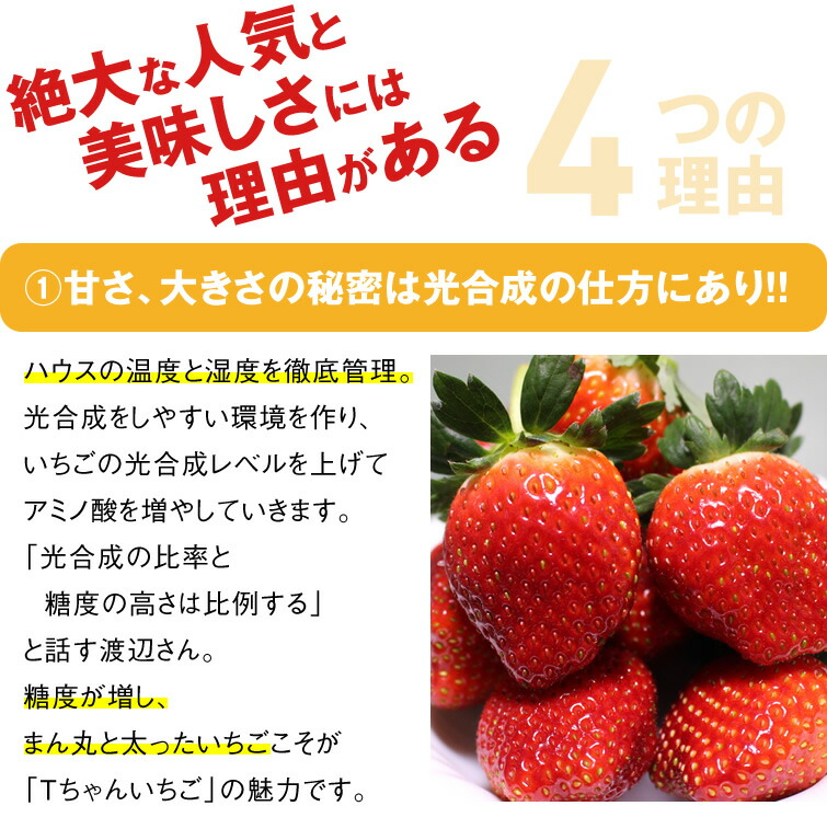 いちご 苺 とちあいか ぎっしり詰め1.2kg x 1箱 ／栃木県産 T