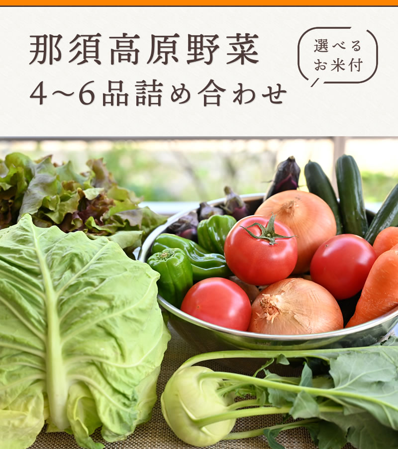 那須高原 野菜 お中元 お取り寄せ お祝い お米 お返し もち米 ギフト コシヒカリ プレゼント 一人暮らし 会社 内祝い 夏ギフト 大量 御中元 暑中 お見舞い 暑中見舞い 残暑見舞い 法人 米 職場 詰め合わせ 贈り物 送料無料 野菜セット 食べ物 華麗 詰め合わせ 那須高原 野菜 お中元 お取り寄せ お祝い お米 お返し もち米 ギフト コシヒカリ プレゼント 一人暮らし 会社 内祝い 夏ギフト 大量 御中元 暑中 お見舞い 暑中見舞い 残暑見舞い 法人 米 職場 詰め合わせ 贈り物 送料無料 野菜セット 食べ物 華麗 詰め合わせ