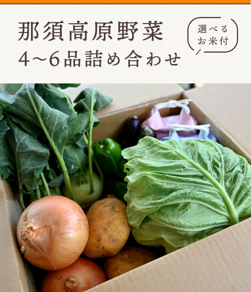 那須高原 野菜 お中元 お取り寄せ お祝い お米 お返し もち米 ギフト コシヒカリ プレゼント 一人暮らし 会社 内祝い 夏ギフト 大量 御中元 暑中 お見舞い 暑中見舞い 残暑見舞い 法人 米 職場 詰め合わせ 贈り物 送料無料 野菜セット 食べ物 華麗 詰め合わせ 那須高原 野菜 お中元 お取り寄せ お祝い お米 お返し もち米 ギフト コシヒカリ プレゼント 一人暮らし 会社 内祝い 夏ギフト 大量 御中元 暑中 お見舞い 暑中見舞い 残暑見舞い 法人 米 職場 詰め合わせ 贈り物 送料無料 野菜セット 食べ物 華麗 詰め合わせ