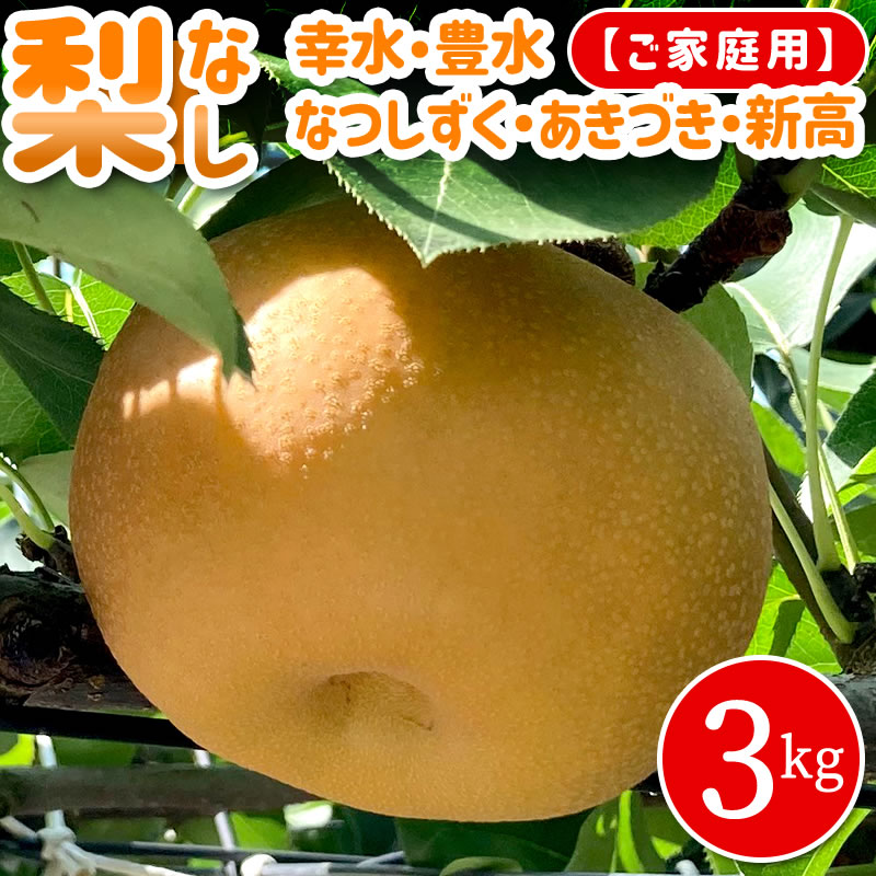 楽天市場】【予約】梨 5kg箱 (家庭用) 送料無料 なし 梨 予約 幸