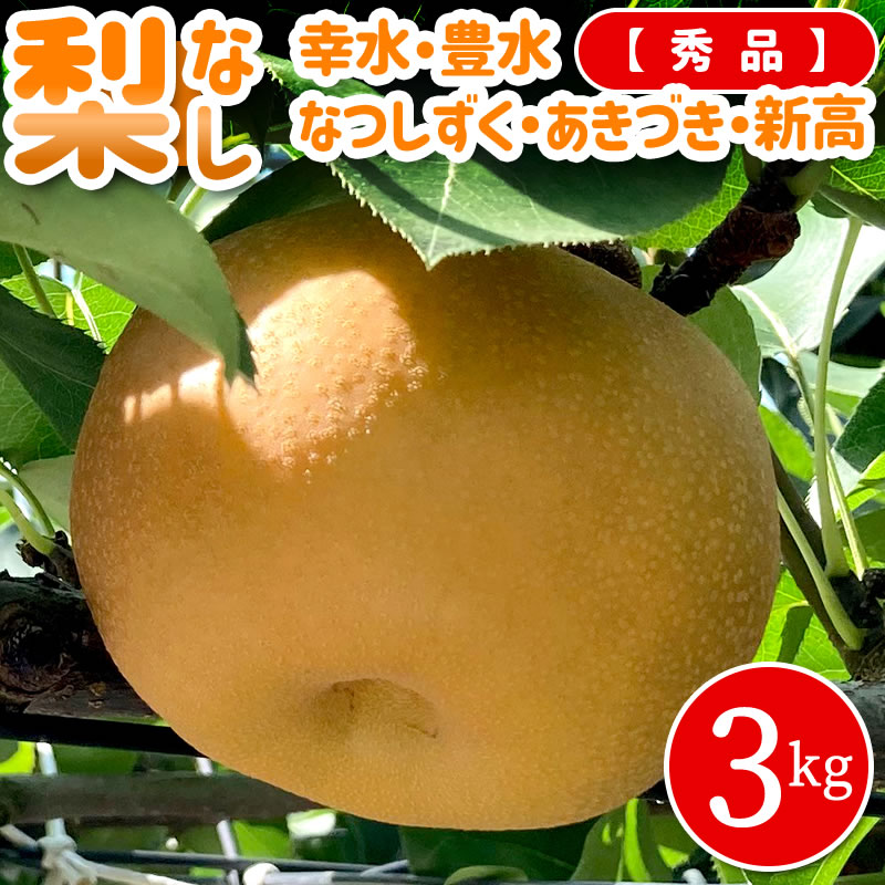 専用＊数量限定＊幸水梨＊徳島県大津産〜秀品3キロ×2箱　5kg×2箱贈答品梨 数量限定＊幸水梨＊徳島県大津産〜 秀品5kg（梱包込み）贈答