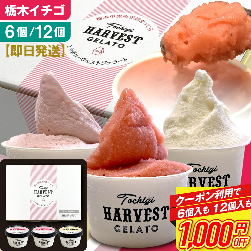 アイス ギフト ジェラート 詰め合わせ 「Harvest Gelato」 (6個・12個)　誕生日 母の日 2026 父の日 お中元 御中元 夏ギフト 高級 おしゃれ 送料無料 アイスクリーム いちごジェラート アイスセット お祝い 内祝い お取り寄せ スイーツ
