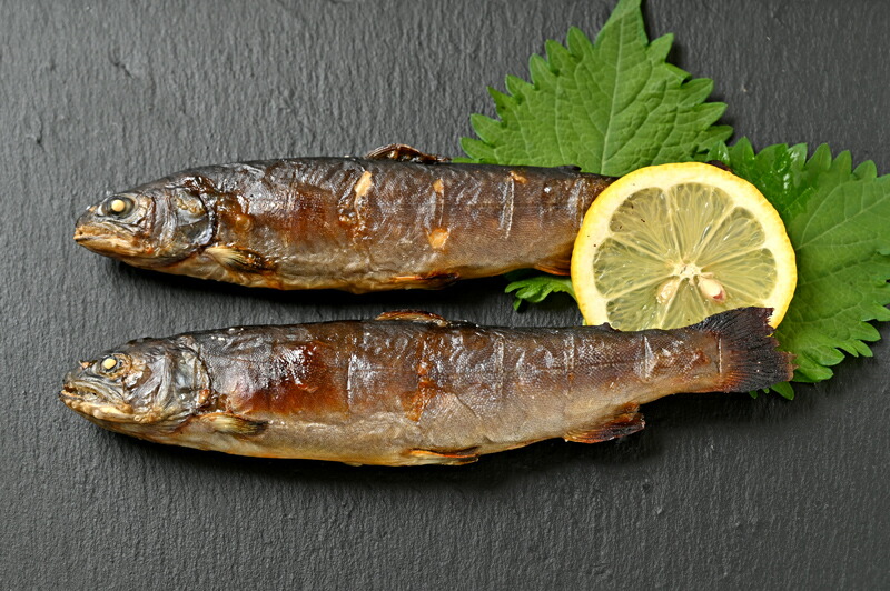 楽天市場 送料無料 幻の渓流王 ニッコウイワナ イワナ 岩魚 いわな 嘉魚 川魚 渓流の王様 神山水産 10尾 日本産 国産 栃木産 栃木県産 Ws 栃木のタウン誌厳選 もんみや通販