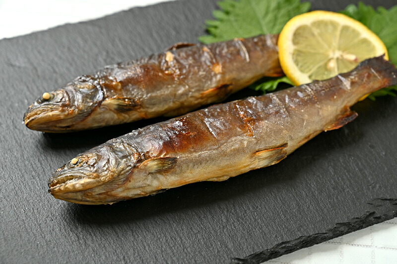 楽天市場 送料無料 幻の渓流王 ニッコウイワナ イワナ 岩魚 いわな 嘉魚 川魚 渓流の王様 神山水産 10尾 日本産 国産 栃木産 栃木県産 Ws 栃木のタウン誌厳選 もんみや通販