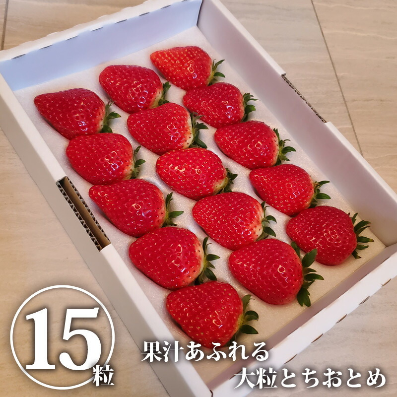 楽天市場 送料無料 とちおとめ15粒 小野口いちご園 いちご イチゴ 苺 とちおとめ 大粒 15個 15粒 果物 くだもの フルーツ 旬のくだもの 旬の果物 旬 国産 栃木県産 栃木産 Tsm 栃木のタウン誌厳選 もんみや通販