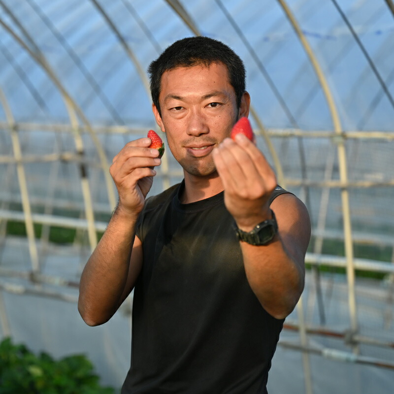 楽天市場 送料無料 べにほっぺ 吉村農園 いちご イチゴ 苺 べにほっぺ 紅ほっぺ 2パック 約600g 果物 くだもの フルーツ 旬のくだもの 旬の果物 旬 国産 栃木県産 栃木産 Tsm 栃木のタウン誌厳選 もんみや通販 楽天市場 送料無料 べにほっぺ 吉村農園 いちご イチゴ 苺 べにほっぺ 紅ほっぺ 2パック 約600g 果物 くだもの フルーツ 旬のくだもの 旬の果物 旬 国産 栃木県産 栃木産 Tsm 栃木のタウン誌厳選 もんみや通販