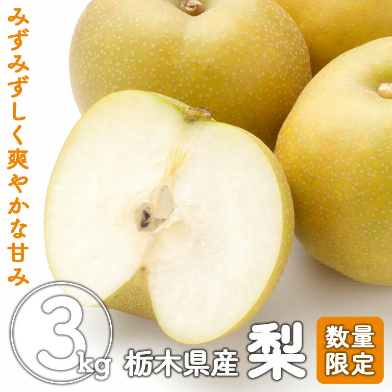 tomohime　5キロ　2箱　幸水梨 幸水（こうすい）梨・5.4～6kg箱（中箱×2箱）セット
