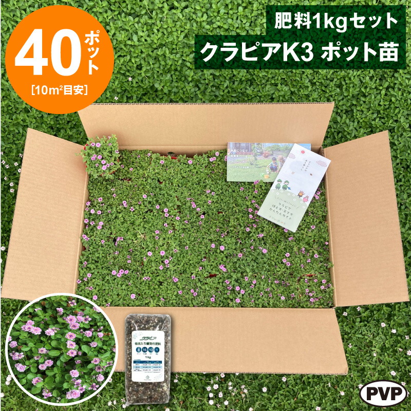 百貨店SALE