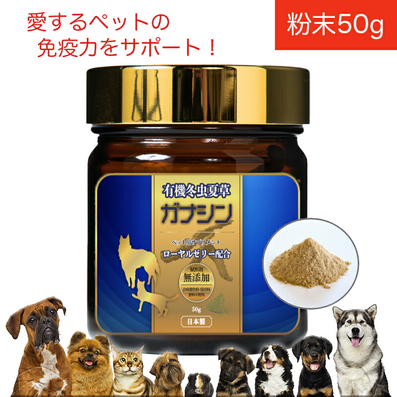1710円 21激安通販 犬 猫 有機 冬虫夏草 ガナシン 50g 免疫力対策 ペット サプリ オーガニック ローヤルゼリー配合 アレルギーフリー 七星堂 1710円 21激安通販 犬 猫 有機 冬虫夏草 ガナシン 50g 免疫力対策 ペット サプリ オーガニック ローヤルゼリー配合 アレルギーフリー 七星堂