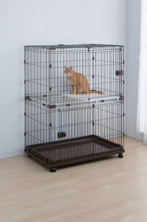 楽天市場】THE ROOM(ペットサークル) ローズゴールド : Mystyle