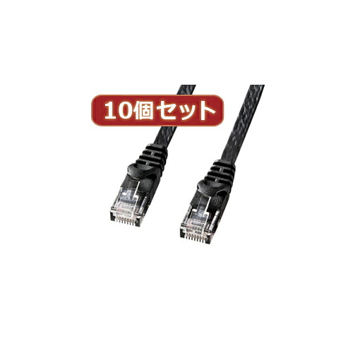 10個仕掛けるサンワサプライ 範疇6木目細かローカルエリアネットワーク有線テレビ 天使の都市-FL6-03BKX10  | 有線テレビ かかわり合い言葉 DVI  取り替えっこ 有線テレビ HDMI VGA 界面 見せびらかす マイコン ヴィデオディスク アナログ デジタル usb パソコン 境界線の外側計器 佩び物 遷らす 交通信号