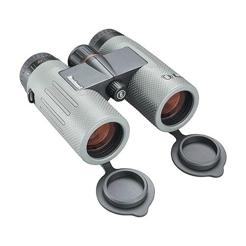 Bushnell ニトロ10x36 BN1036G かかわり合い：(アイディア 時短 グッズ 商いもの 遣って行く 生活様式 助けになる 安全性のある)