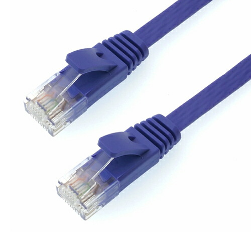 5個仕掛ける HORIC ローカルエリアネットワーク有線テレビ UTP 範疇6A 木目細か 10m パープル LC100-509FBX5  | 有線テレビ かかわり合い言葉 DVI  取り替えっこ 有線テレビ HDMI VGA 界面 見せびらかす マイコン ヴィデオディスク アナログ デジタル usb パソコン 境界線の外側計器 佩び物 遷らす 交通信号
