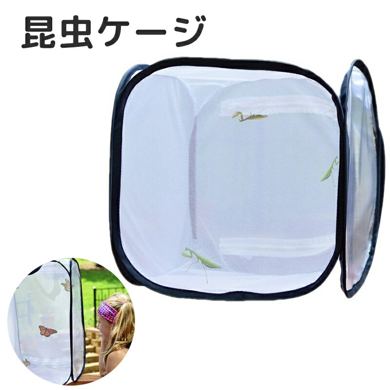 虫けら繁殖箱 虫けら容れもの 蝶 虫けら伏せ篭 通気性 サイバー空間 育てる 澄み切った 繁殖容れもの 大型 幼生 虫かご メッシュ 軽さ 折りたたみ 草木伏せ篭 代表例箱 折り畳み虫かご ハ虫類 虫けら 夢見鳥伏せ篭 蝶 蝗虫 シルクワーム御出なされる地 持ちはこびに助けになる