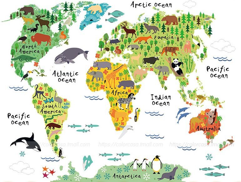 楽天市場 在庫処分セール ウォールステッカー 世界地図 かわいい動物のイラスト モノッコ