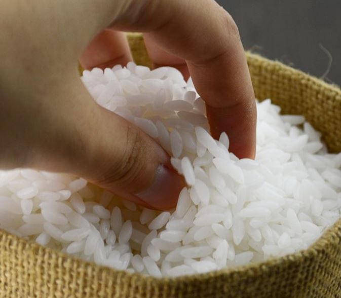 食品サンプル お米 白米 小袋5個セット 食品模型 リアルな米粒 業務
