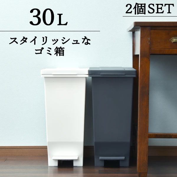 ゴミ箱 おしゃれ キッチン ふた付き スリム 分別 45リットル袋可 45L袋可 縦型 生ゴミ 臭わない ペダル式 小さい 袋が見えない 30リットル 袋隠せる 袋どめ おむつ ダストボックス リビング インテリア雑貨 北欧 ホワイト 白 ( エバンMP 密閉ペダルペール 30L 2個セット )
