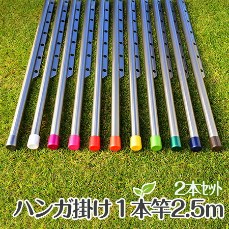 物干し竿 2本セット ( ハンガー竿 ×2.5mシャンパンゴールド色) おしゃれなハンガー 物干し 屋外 ベランダに最適な 洗濯物干し 【日本製】 【メーカー1年保証】 物干し竿 2本セット ( ハンガー竿 ×2.5mシャンパンゴールド色) おしゃれなハンガー 物干し 屋外 ベランダに最適な 洗濯物干し 【日本製】 【メーカー1年保証】
