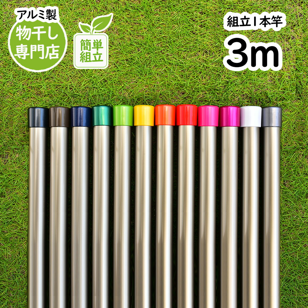 トヨトミの物干し竿 長さ:3m 本体色:シャンパンゴールド色 組み立てると一体型の1本竿 錆びないアルミ合金物干し 丈夫な少し太い 太さ32パイ 室内 屋外 ベランダやウッドデッキに最適な ものほし竿 洗濯ざお【日本国内名古屋工場製造品】