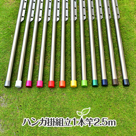 トヨトミの組み立て ハンガー掛け付き物干し竿 長さ:2.5m 本体色:シャンパンゴールド色 組立てると一体型の1本竿になるハンガー掛け付き竿 錆びないアルミ合金 風で洗濯物が寄らず乾きやすい 洗濯ざお【日本国内名古屋工場製造品】