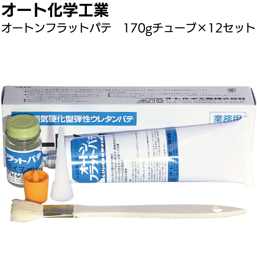 オート化学工業 オートンフラットパテ 170g×12セット ＜外壁材補修用ウレタンパテ 可撓性 塗料付着性優 チューブ ひび割れ 欠損部分＞【送料無料】