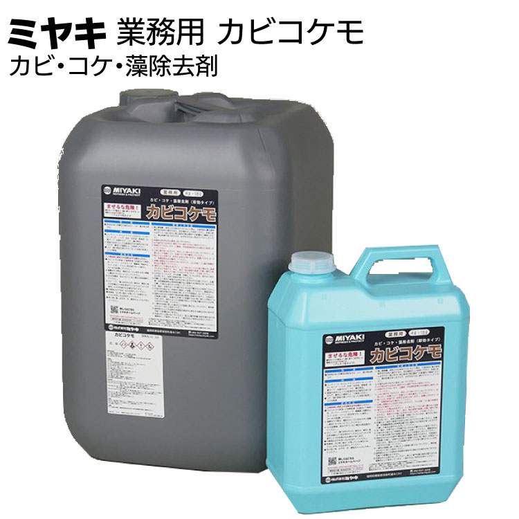 百貨店SALE！ものいち店｜2026年6月