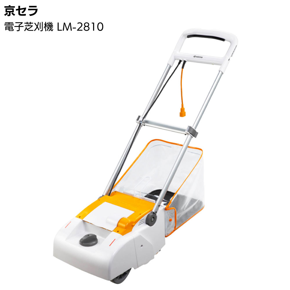 百貨店SALE！ものいち店｜2026年6月