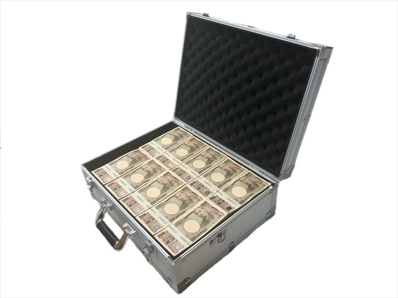 １億円 100万円札束 アルミケース付き 100束 ダミー札束 D 金運アップ インテリア 防犯 １億円 アルミケース アルミボックス アタッシュケース トランク ハードケース 一億円 1億円 １億 ジュラルミンケース 札束入りケース 札束 お金 防犯 強盗 一億円 1億 札束 金