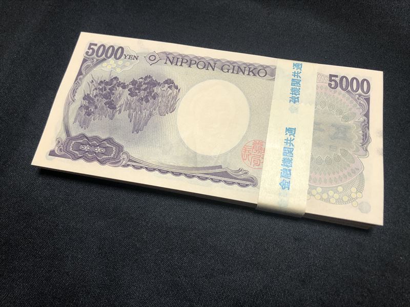 ストア ５千円 札束 H 10束セット 5千円札 5000円 お金 財布 送料無料 ダミー札束 お年玉袋 ポチ袋 景品 長財布 本物帯 金融機関共通 帯 プレゼントご祝儀 誕生日 クリスマス パーティー イベント 記念日 金運アップ ダミー レプリカ バレンタイン ホワイトデー Www