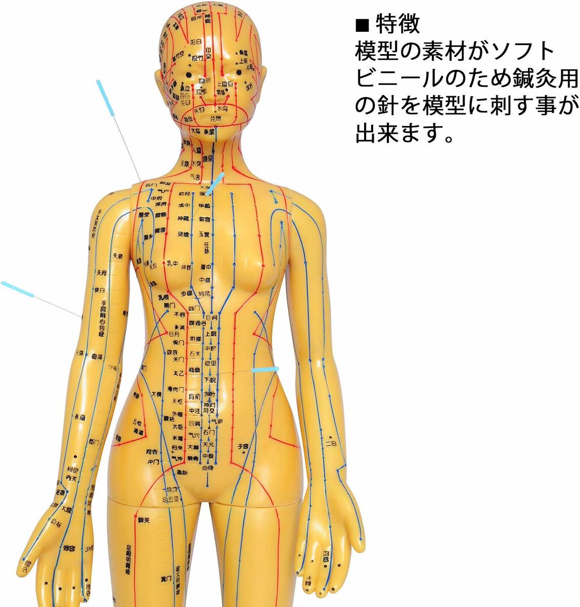 基本人体ツボ経絡図