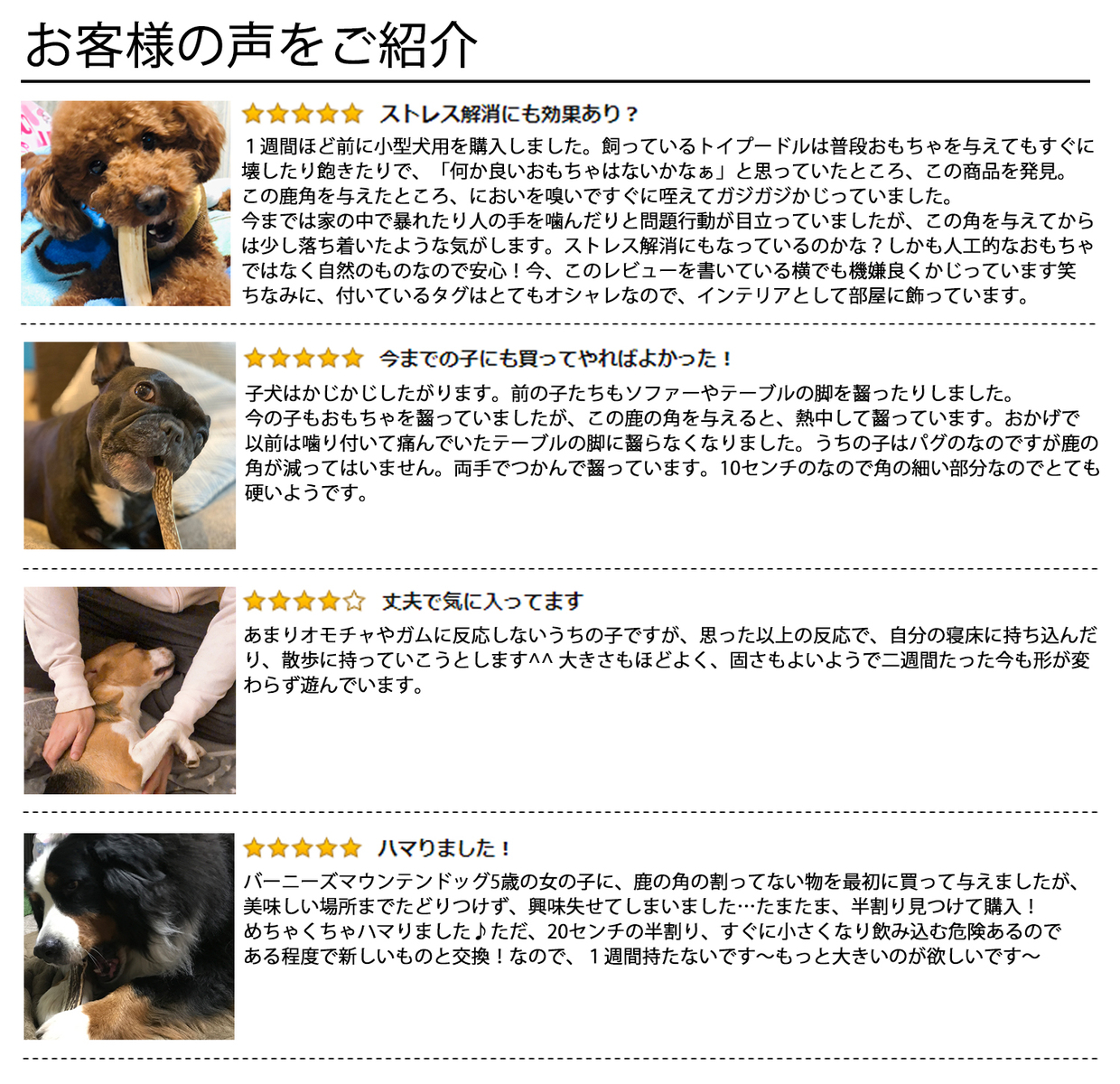 楽天市場 15cm 中型犬 鹿の角 犬 おもちゃ 無添加 おやつ エゾジカ 国産 鹿 角 ガム デンタルケア Monolife モノライフ 楽天市場店