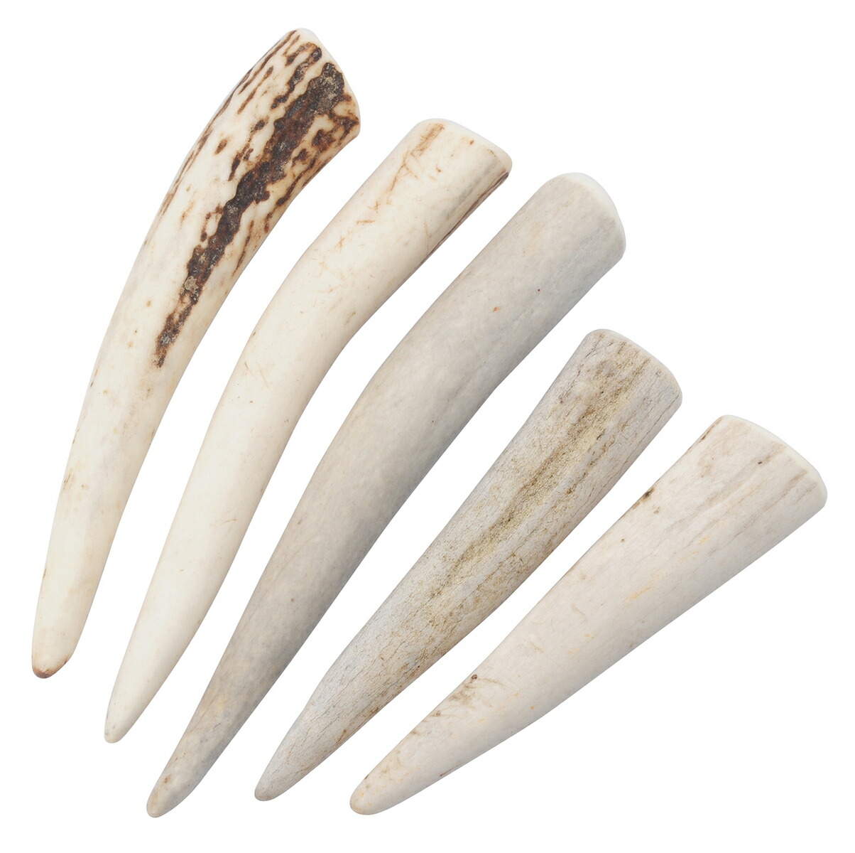 楽天市場】【スーパーSALE限定！COUPON】鹿の角 5cm前後を100g分セット