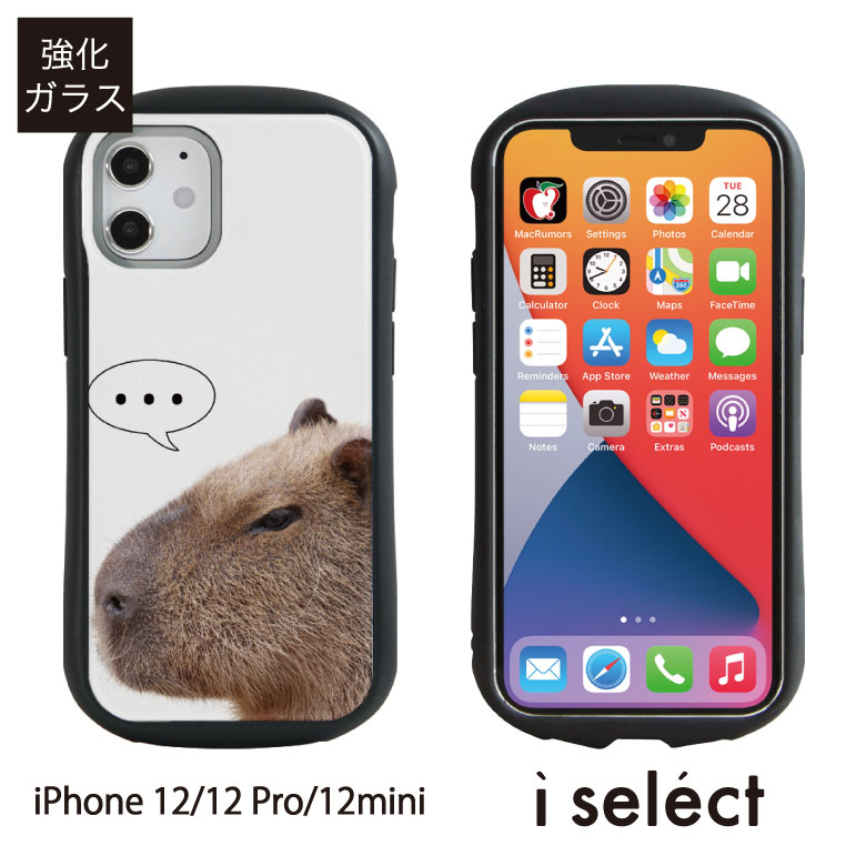 楽天市場 No12 Capybara I Select ハイブリッドケース Iphone 12 Pro Mini ガラスケース アイフォン12 12pro スマホケース カバー ジャケット 9h カピバラ アニマル 動物 フォト かわいい D Eve Iphone12 アイフォンケース スマホカバー ケース 携帯ケース アイフォン