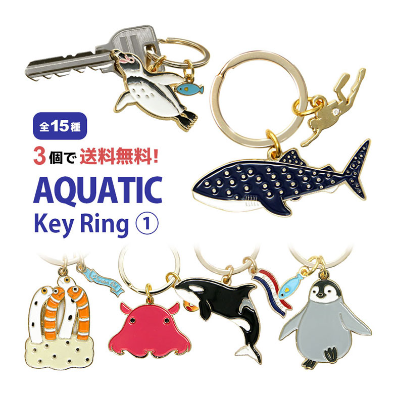 楽天市場】(10％OFFクーポン配布 9/24 01:59まで) サメ IDカード