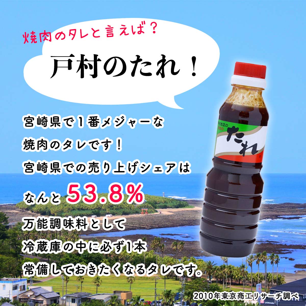 再入荷/予約販売! 宮崎県 焼肉のたれ 戸村 万能たれ お土産 贈り物 戸村本店 戸村の 400g×20本 宮崎 たれ 徳用 fucoa.cl