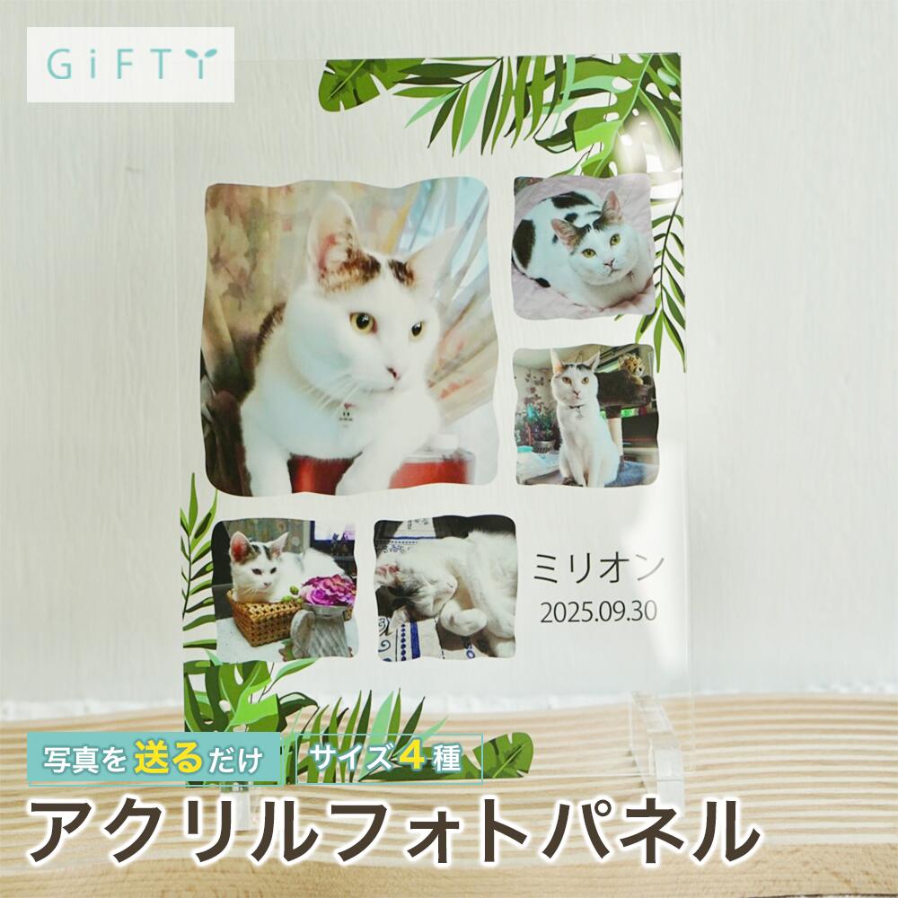 猫 メモリアル ペットロス うちの子 フォトパネル 名入れ 日付入れ 思い出 残す 追悼 ペット家族に贈る 癒し 透明 卓上 インテリアに馴染む 優しい雰囲気【A14】