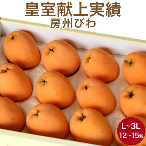 皇室献上の実績 房州 びわ 大粒サイズ12～15粒入化粧箱 送料無料 産地直送 千葉県南房総産 予約販売